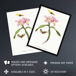Artery8 Paul Gervais Cattleya Orchids & Butterflies Framed Wall Art Print in White - Size: A4 - thumbnail 2