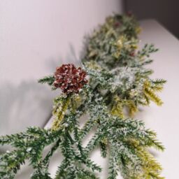 Samuel Alexander 160cm Artificial Green Spruce Frosted Christmas Garland with Pinecones
