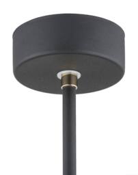 Netlighting Charlotte Single Spotlight Black Structure Brass Elements - thumbnail 5