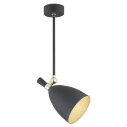 Netlighting Charlotte Single Spotlight Black Structure Brass Elements - thumbnail 1