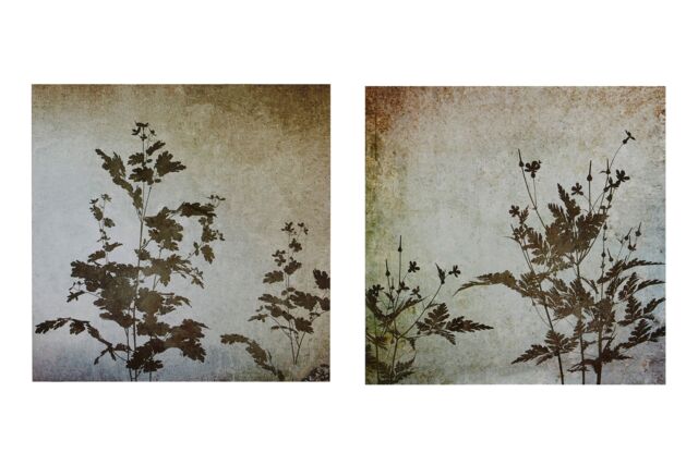 Orsina Textured Florals Wall Plaques - Set of 2, Wooden Panels With Raised Botanical Detailing, Soft Tones Add in Natural