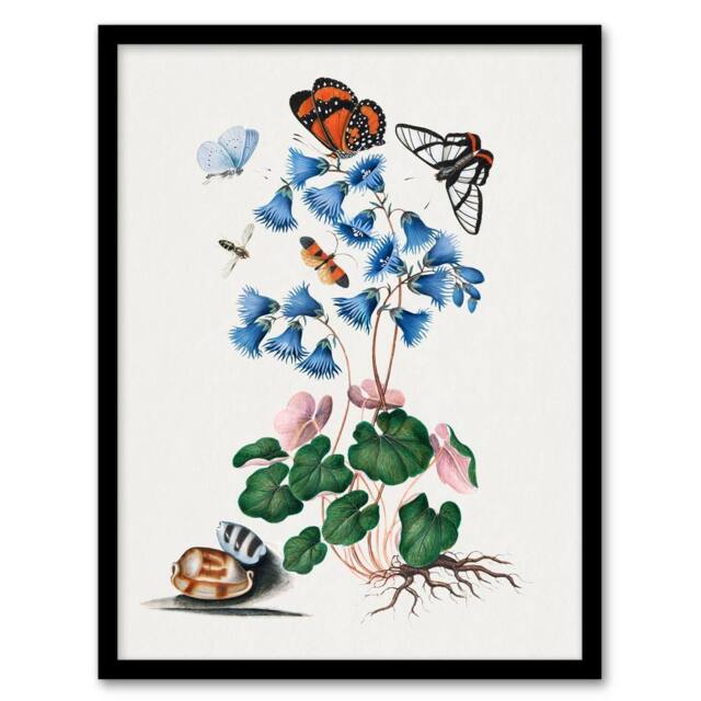 Artery8 Soldanella Flower & Butterflies Bolton Framed Wall Art Print in White - Size: A4 - image 1