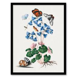 Artery8 Soldanella Flower & Butterflies Bolton Framed Wall Art Print in White - Size: A4 - thumbnail 1