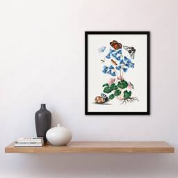 Artery8 Soldanella Flower & Butterflies Bolton Framed Wall Art Print in White - Size: A4 - thumbnail 2