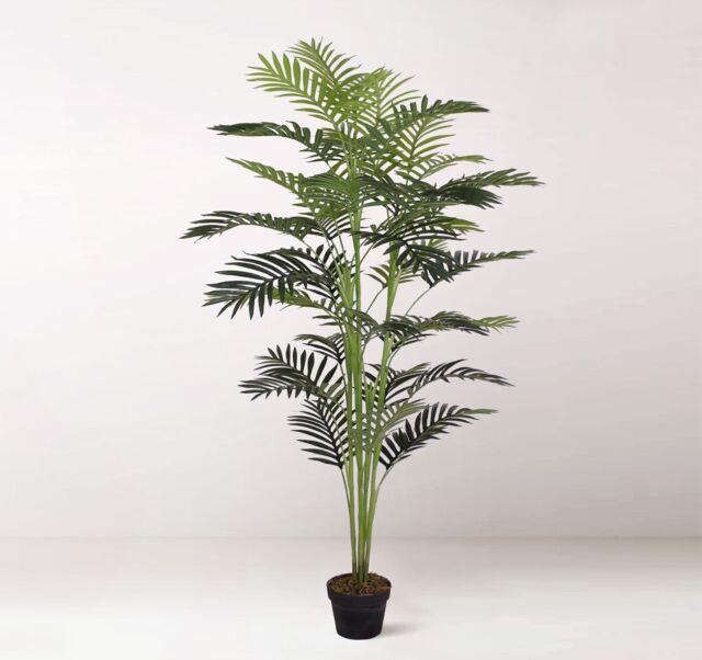 Tradala Trees Lush Artificial Tree Palm with Real Wood Trunk in Dark Green - Size: 5ft - image 1