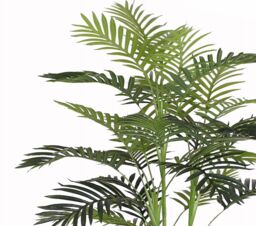 Tradala Trees Lush Artificial Tree Palm with Real Wood Trunk in Dark Green - Size: 5ft - thumbnail 3