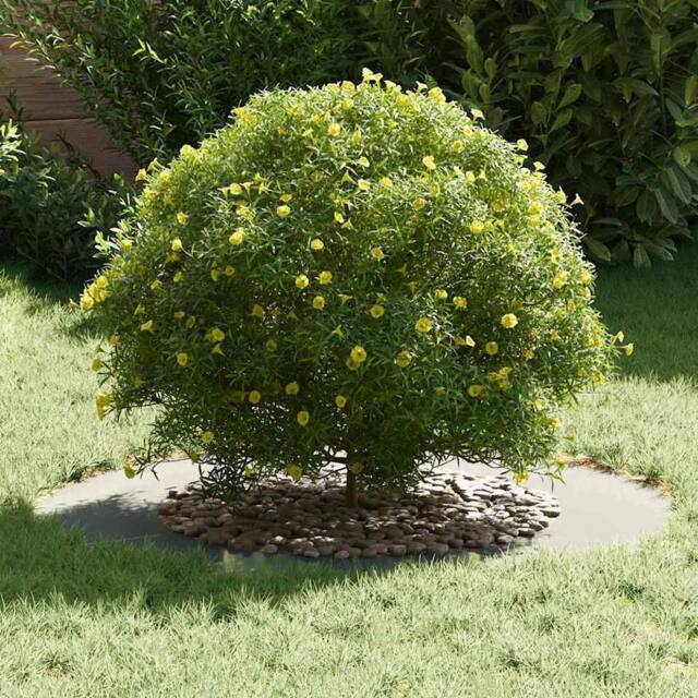 Berkfield Home Stunning Galvanised Metal Planter Galvanised Metal Large Durable in Silver - image 1