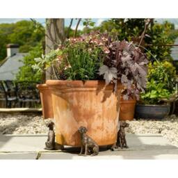 Jardinopia Great Dane Plant Pot Feet - Set of 3 - L6.5 x W11 x H7 cm in Bronze - thumbnail 5