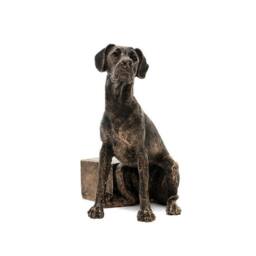 Jardinopia Great Dane Plant Pot Feet - Set of 3 - L6.5 x W11 x H7 cm in Bronze - thumbnail 2