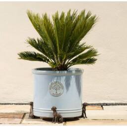 Jardinopia Great Dane Plant Pot Feet - Set of 3 - L6.5 x W11 x H7 cm in Bronze - thumbnail 6
