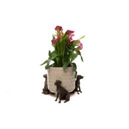 Jardinopia Great Dane Plant Pot Feet - Set of 3 - L6.5 x W11 x H7 cm in Bronze - thumbnail 4