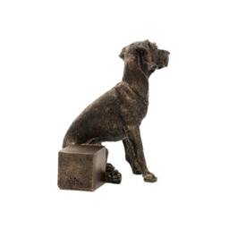 Jardinopia Great Dane Plant Pot Feet - Set of 3 - L6.5 x W11 x H7 cm in Bronze - thumbnail 3