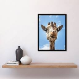 Artery8 Up close look at a giraffe Carol M Highsmith Framed Wall Art Print in Blue - Size: A4 - thumbnail 4