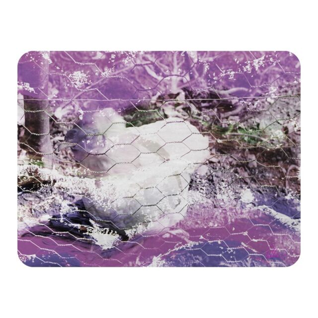Benjamin Tate Design Chicken Blanket in Natural - Size: 120 cm x 150 cm - image 1