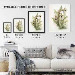 "Artery8 Frederick Sander Cypripedium Rothschildianum Orchid Wall Art Print - Size: W12"" x H16""" - thumbnail 3
