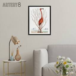 "Artery8 Flamingo Bird Vintage Illustration Catesby Black Framed Canvas Art in White - Size: W18"" x H24""" - thumbnail 3