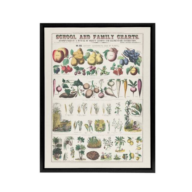 "Artery8 School & family chart No XXI Calkins Framed Canvas Wall Art Print in White - Size: W12"" x H16""" - image 1