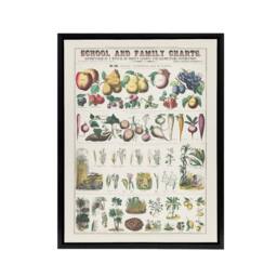 "Artery8 School & family chart No XXI Calkins Framed Canvas Wall Art Print in White - Size: W12"" x H16""" - thumbnail 1