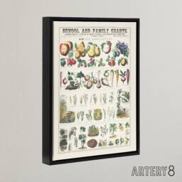 "Artery8 School & family chart No XXI Calkins Framed Canvas Wall Art Print in White - Size: W12"" x H16""" - thumbnail 2