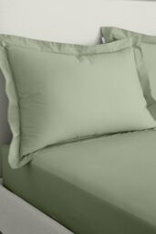 Bianca '200 Thread Count Cotton Percale' Oxford Pillowcases in Green - thumbnail 1