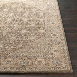 Livabliss Arda Vintage Taupe Brown Grey Green Traditional Boho Fringe Living Rug - Size: 153 cm x 220 cm - thumbnail 5