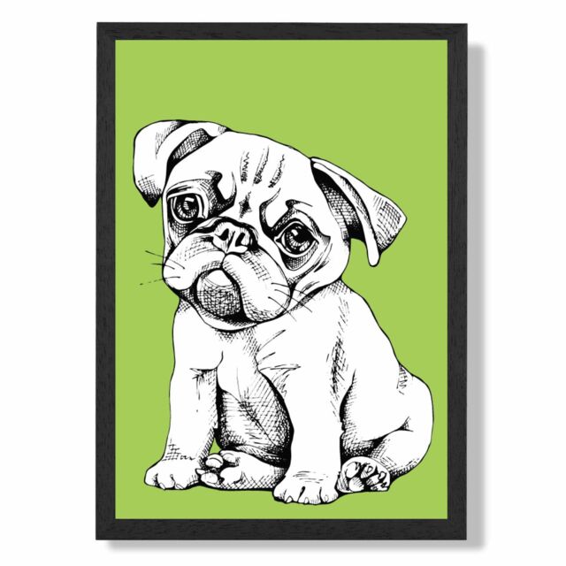 ARTZE Sketch Pug Dog on Bright Green Framed Print SIZE: A2 with Black Frame - Size: A4 - image 1