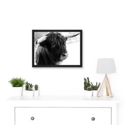 Artery8 Highland Cow Bull Horns Black White Photo A4 Artwork Framed Wall Art Print - thumbnail 2