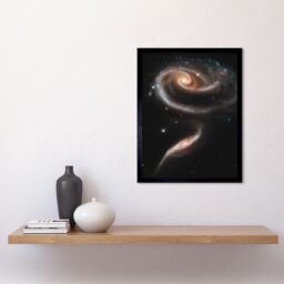 Artery8 Hubble Space Telescope Image 21st Anniversary A Rose Made Of Interacting Galaxies Arp 273 Cosmic Flower Formation UGC 1810 & UGC 1813 Pair - thumbnail 2