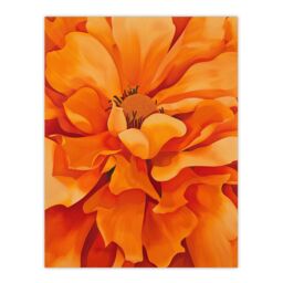 "Artery8 Orange Marigold Flower Painting Modernist Floral Wall Art Print - Size: W24"" x H32""" - thumbnail 1