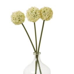Lemon Pavilion Furniture and Decor Allium (Single Stem Flower) - Plastic - Height 75 cm - Cream - thumbnail 3