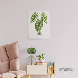 "Artery8 AF Lydon B Fawcett Caladium Humboldtii Leaves Canvas Wall Art Print in White - Size: W12"" x H16""" - thumbnail 3