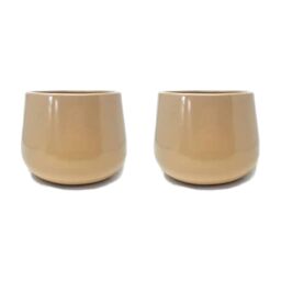 Verano Spanish Ceramics Epoxi Cylinder Beige Semi Gloss Indoor Plant Pot Set of 2 x 20.5cm - Size: 2 x 20.5 cm