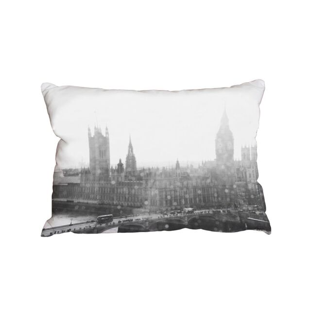 Benjamin Tate Design Cushions - Calming Ben (Cushion)