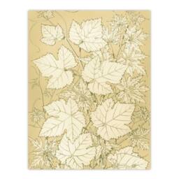 "Artery8 Leaves From Nature No 2 Botanical Jones Vintage Wall Art Print Poster in Beige - Size: W12"" x H16""" - thumbnail 1