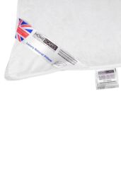 Homescapes Goose Feather & Down King Size Pillow Pair in White - thumbnail 4