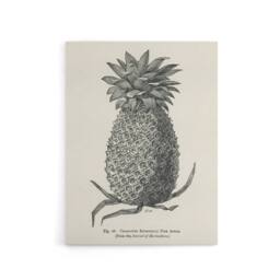 "Artery8 Vintage Black White Pineapple Illustration Wright Canvas Art Print - Size: W12"" x H16""" - thumbnail 1