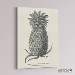 "Artery8 Vintage Black White Pineapple Illustration Wright Canvas Art Print - Size: W12"" x H16""" - thumbnail 2