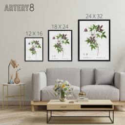 "Artery8 Alpine Clematis Flower Redoute Vintage Black Framed Canvas Wall Art in White - Size: W12"" x H16""" - thumbnail 4
