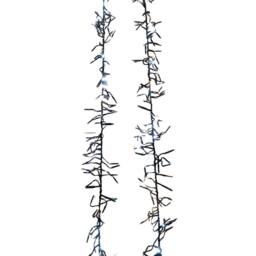 Samuel Alexander Cluster Multi-Action String Lights with Timer in White & Warm White in Dark Green - thumbnail 1