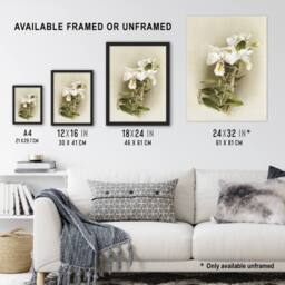Artery8 Frederick Sander Dendrobium Formosum Orchid Flowers Framed Art Print - Size: A4 - thumbnail 3