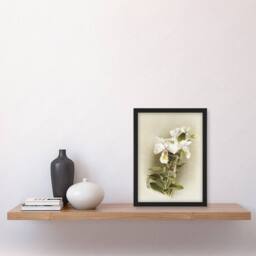 Artery8 Frederick Sander Dendrobium Formosum Orchid Flowers Framed Art Print - Size: A4 - thumbnail 4