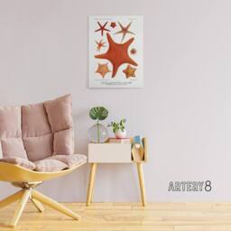 "Artery8 Starfish Varieties Marine Life Albert I Canvas Wall Art Print in White - Size: W12"" x H16""" - thumbnail 3