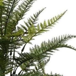Leaf Pack of 6 x 78cm Fire Retardant Artificial Fern Foliage Branch in Green - Size: 6 x 78 cm - thumbnail 3