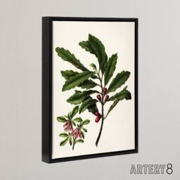 "Artery8 New Zealand Toropapa Flowering Plant Featon Framed Canvas Wall Art in Beige - Size: W12"" x H16""" - thumbnail 2