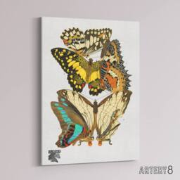 "Artery8 Papillons Butterflies Illustration Canvas Wall Art Print Seguy - Size: W18"" x H24""" - thumbnail 2