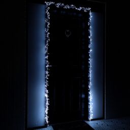 Samuel Alexander 5.5m 880 LED Indoor Outdoor Christmas Door Lights in Cool White - thumbnail 2