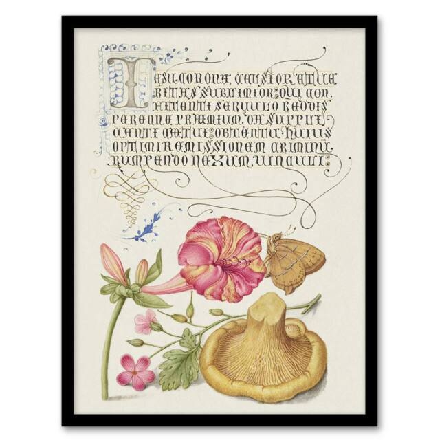 "Artery8 Flowers Mushroom & Butterfly Calligraphy Framed Wall Art Print in White - Size: W12"" x H16""" - image 1