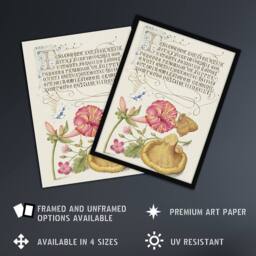 "Artery8 Flowers Mushroom & Butterfly Calligraphy Framed Wall Art Print in White - Size: W12"" x H16""" - thumbnail 2