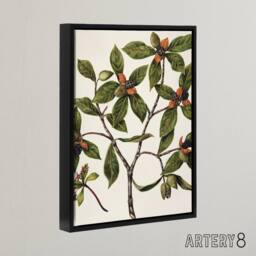 "Artery8 New Zealand Tawhiri Karo Plant Artwork Featon Framed Canvas Wall Art in Beige - Size: W12"" x H16""" - thumbnail 2