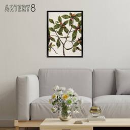 "Artery8 New Zealand Tawhiri Karo Plant Artwork Featon Framed Canvas Wall Art in Beige - Size: W12"" x H16""" - thumbnail 3